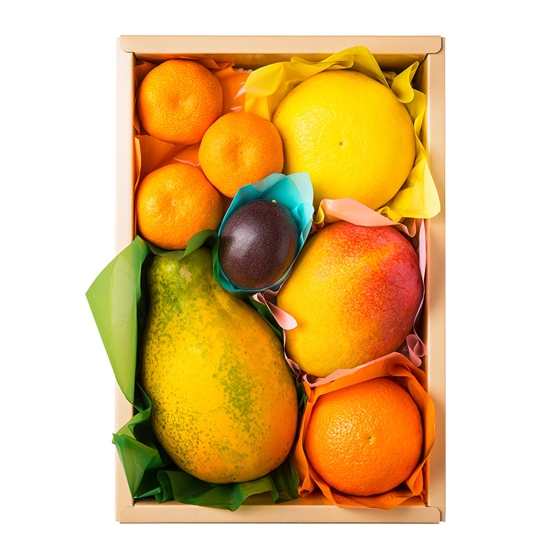 �y��̓��z������D�� ���E�F�u����E���ʌ��聄���I�ʕ��l�����E�A�����W�����g�A�[�g�t�����[�t